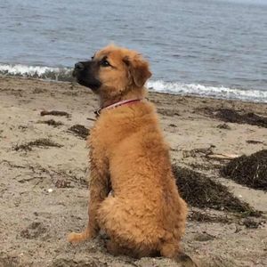 Meet your Posher, Jayden